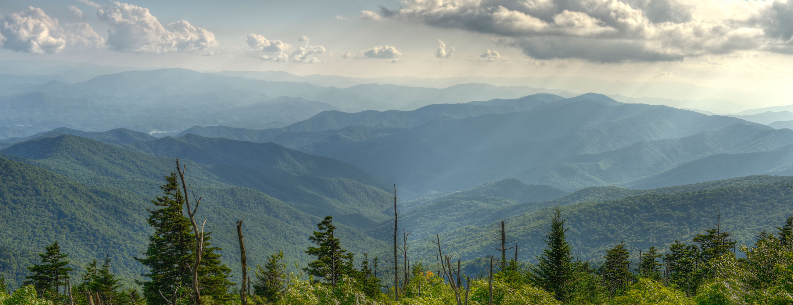 92usmanhafeez 92usmanhafeez